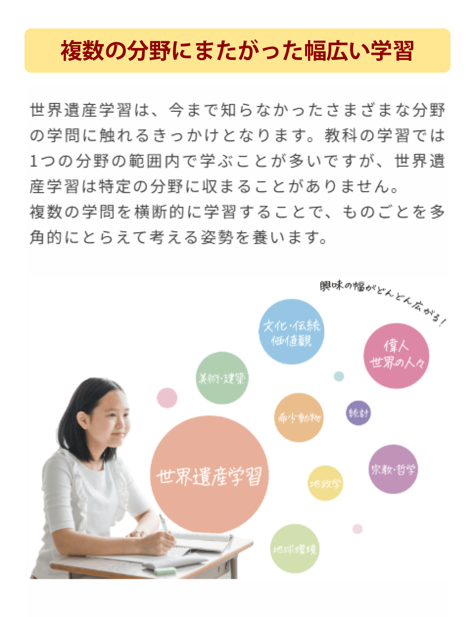 特徴 複数の分野にまたがった幅広い学習