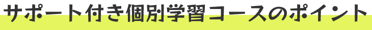 サポート付き個別学習コースのポイント