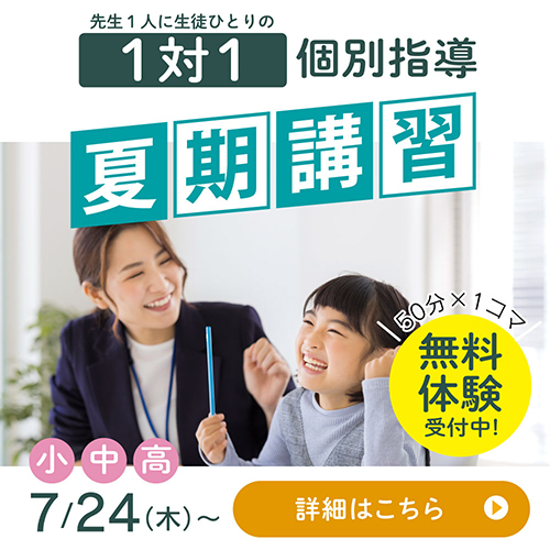個別指導 夏期講習会