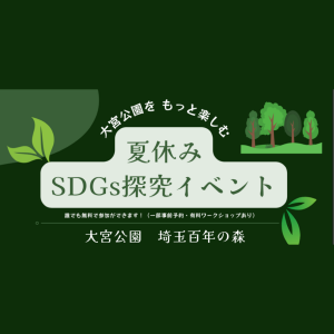 夏休み探究学習